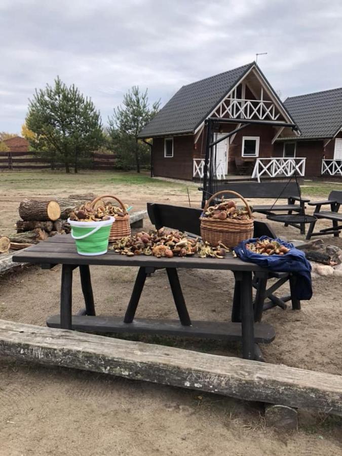 Agroturystyka Stajnia Zwierzyniec Miedzychod 外观 照片